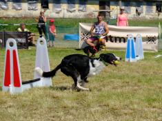 Flyball - M.E.D's Trophy